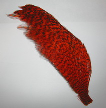 ������ ������ 1/2 whiting american rooster cape  Grizzly / Orange
